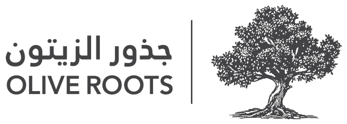 جذور الزيتون