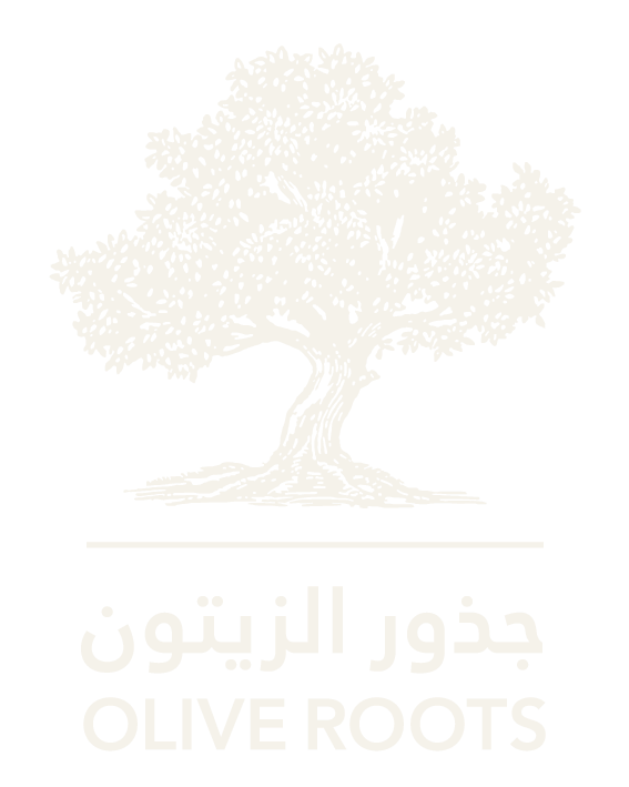 جذور الزيتون